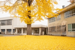 米沢みさわ小学校|とここと